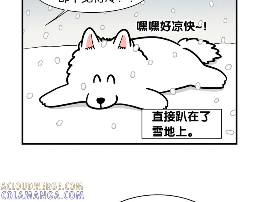 《我的狗子叫棉花》第38话 不怕冷 第16页