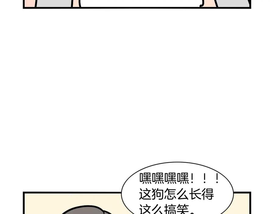 《我的狗子叫棉花》第38话 不怕冷 第53页
