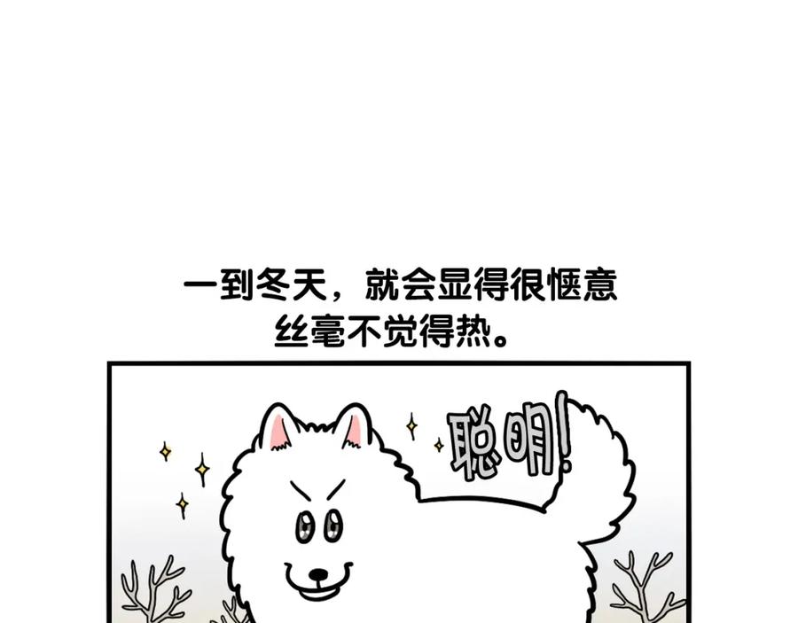 《我的狗子叫棉花》第38话 不怕冷 第71页