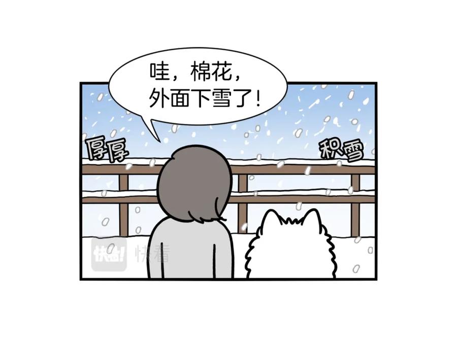 《我的狗子叫棉花》第38话 不怕冷 第5页