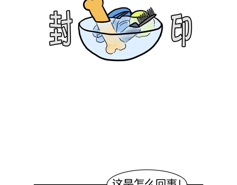 《我的狗子叫棉花》第38话 不怕冷 第35页