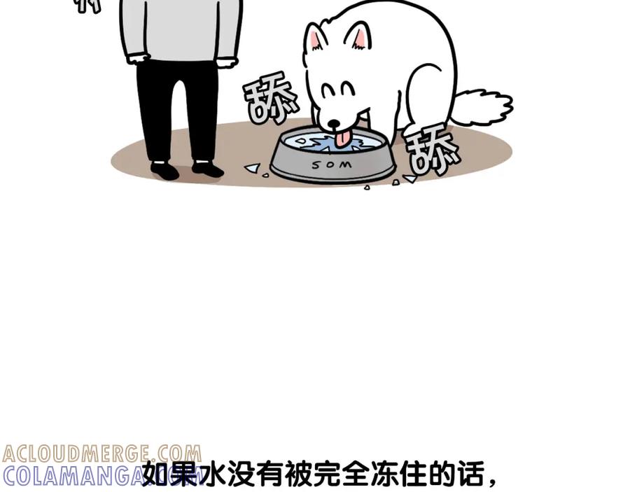 《我的狗子叫棉花》第38话 不怕冷 第28页