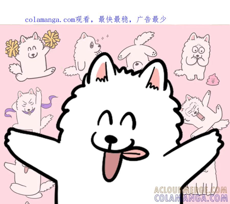 《我的狗子叫棉花》第38话 不怕冷 第1页
