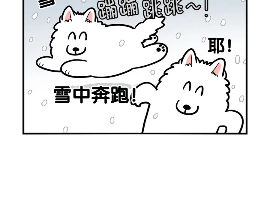 《我的狗子叫棉花》第38话 不怕冷 第8页