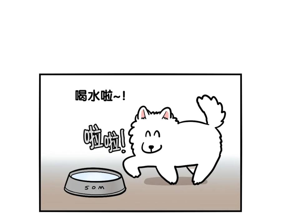 《我的狗子叫棉花》第38话 不怕冷 第20页