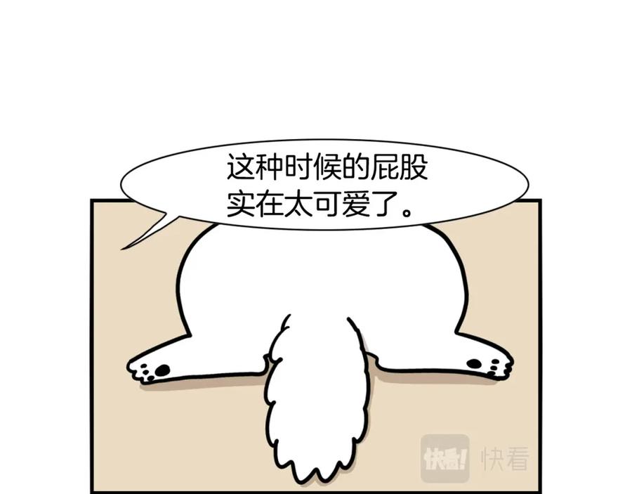 《我的狗子叫棉花》第39话 剃毛方案 第51页