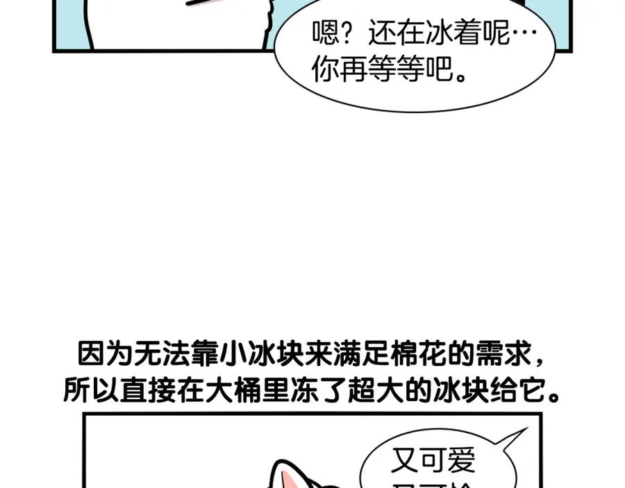 《我的狗子叫棉花》第39话 剃毛方案 第14页