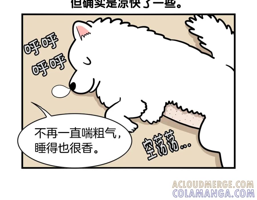 《我的狗子叫棉花》第39话 剃毛方案 第49页