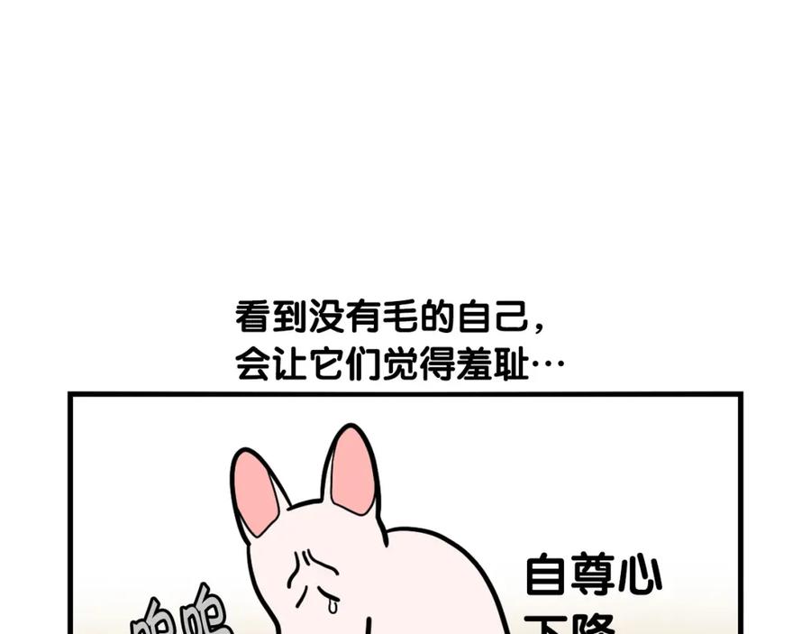 《我的狗子叫棉花》第39话 剃毛方案 第33页