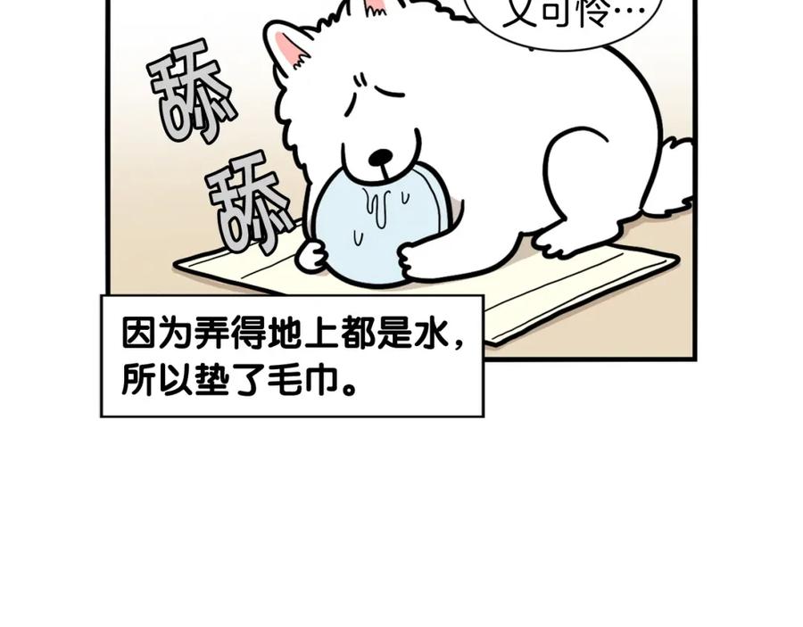 《我的狗子叫棉花》第39话 剃毛方案 第15页