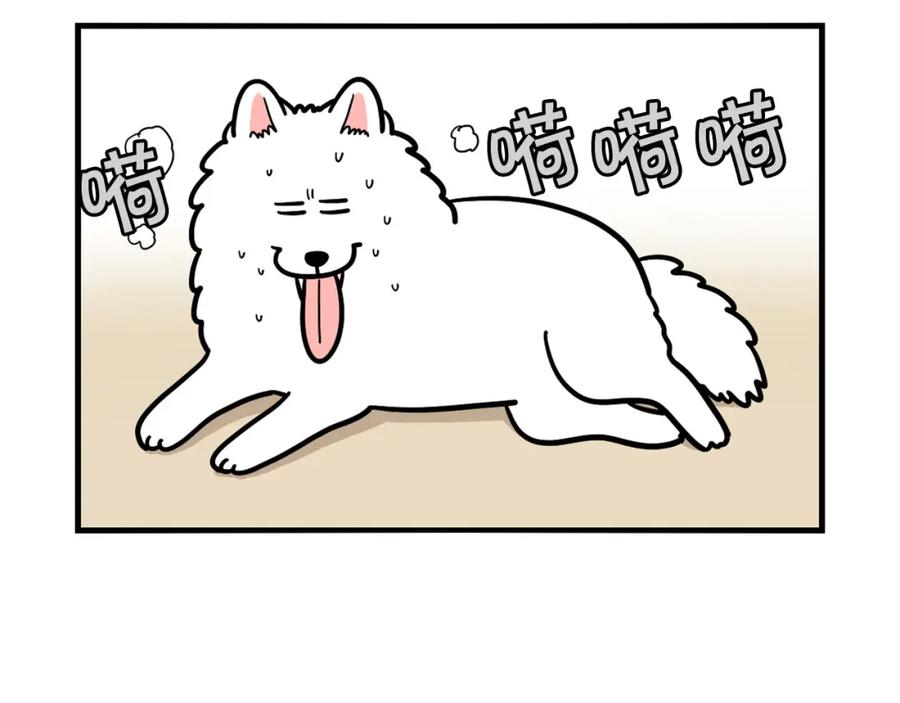 《我的狗子叫棉花》第39话 剃毛方案 第8页