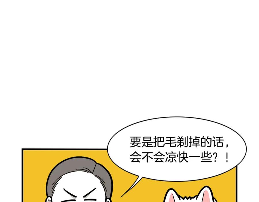 《我的狗子叫棉花》第39话 剃毛方案 第17页