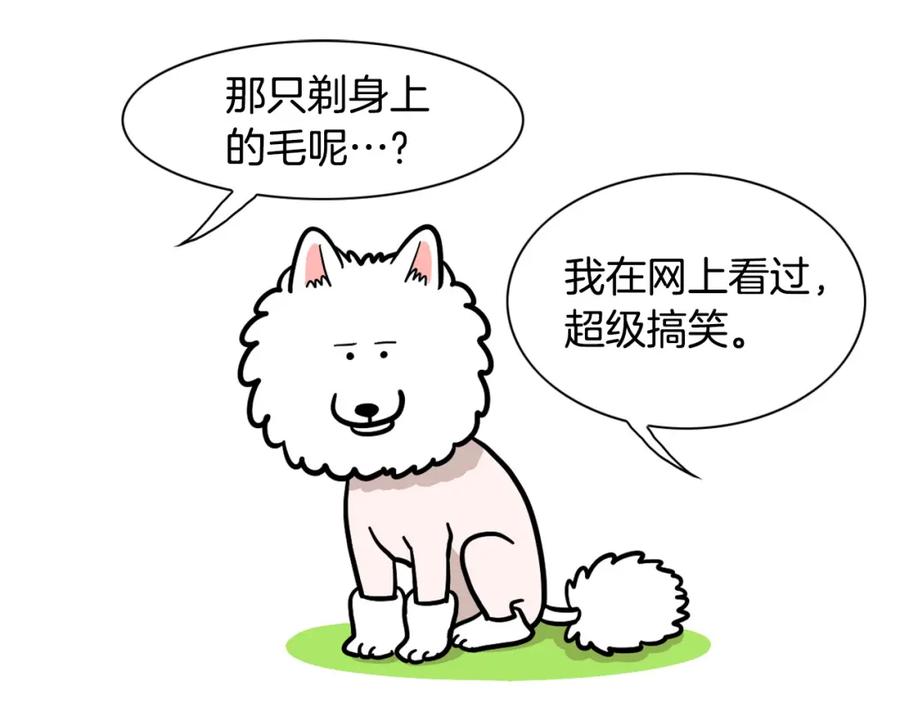 《我的狗子叫棉花》第39话 剃毛方案 第20页