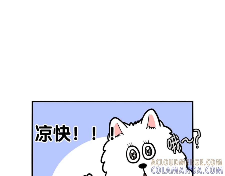 《我的狗子叫棉花》第39话 剃毛方案 第64页