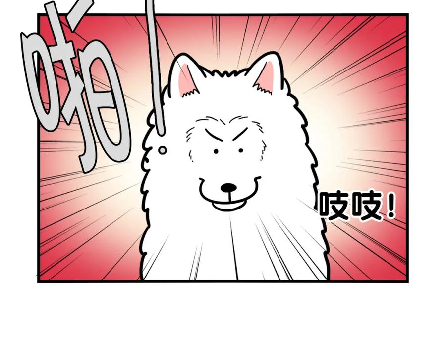 《我的狗子叫棉花》第39话 剃毛方案 第84页