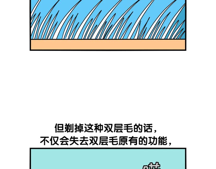《我的狗子叫棉花》第39话 剃毛方案 第29页