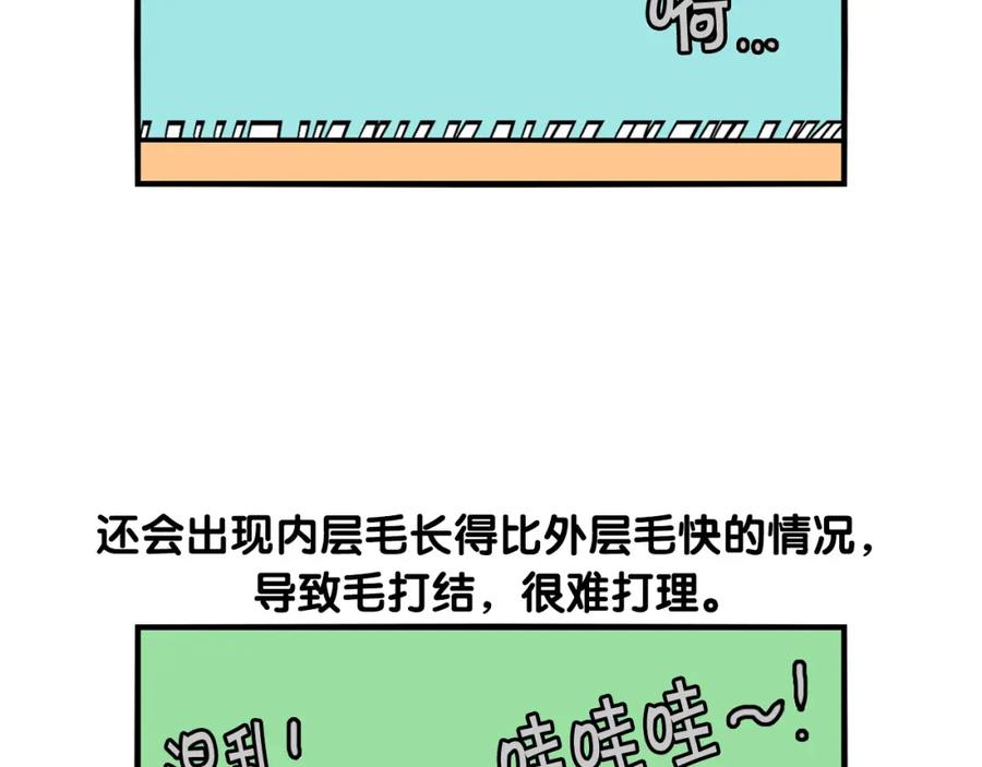 《我的狗子叫棉花》第39话 剃毛方案 第30页