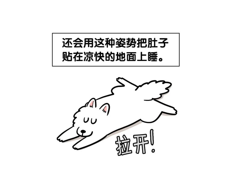 《我的狗子叫棉花》第39话 剃毛方案 第50页