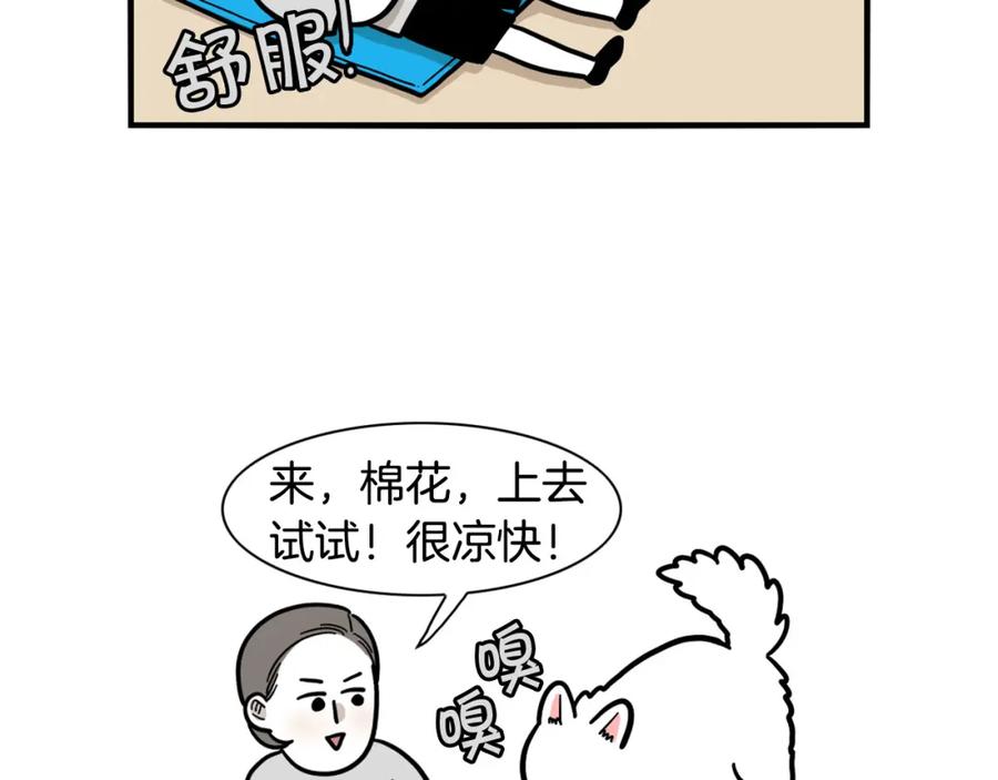《我的狗子叫棉花》第39话 剃毛方案 第56页