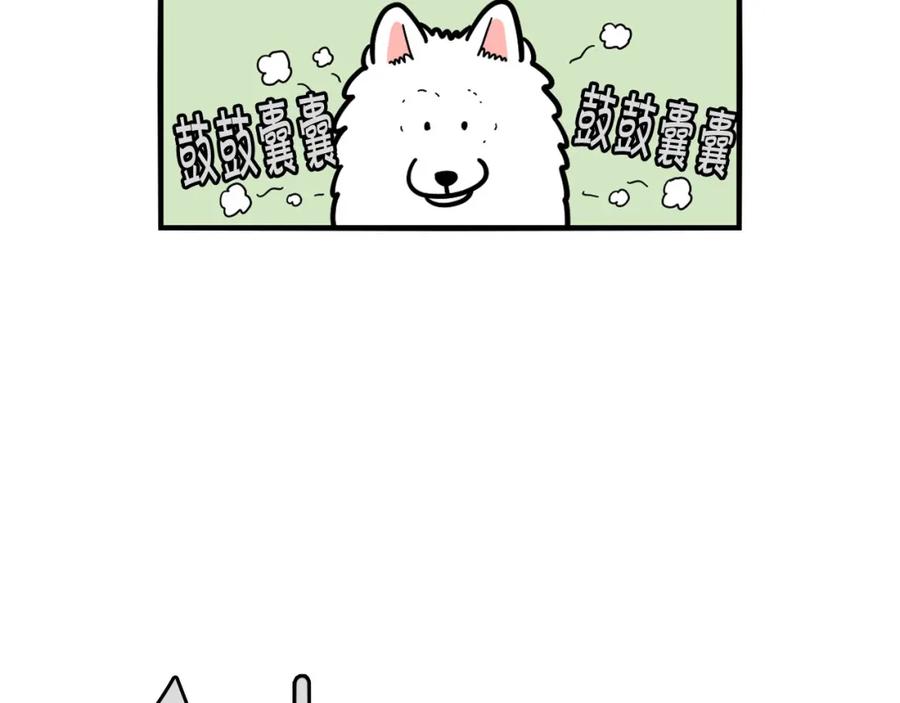 《我的狗子叫棉花》第39话 剃毛方案 第83页