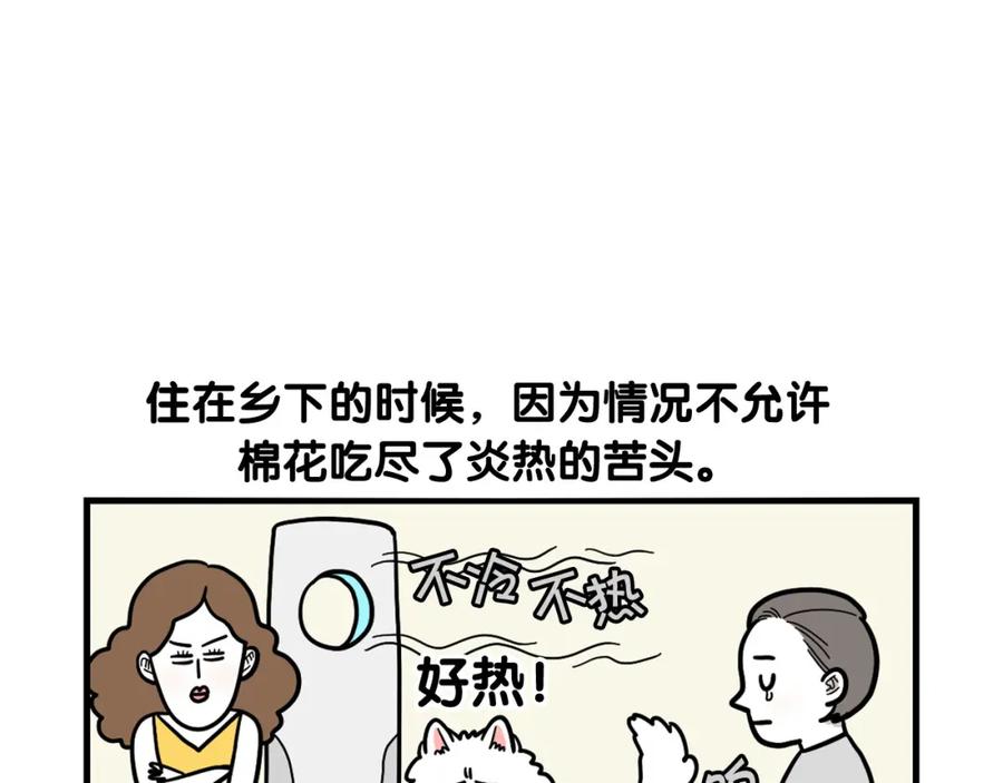 《我的狗子叫棉花》第39话 剃毛方案 第6页