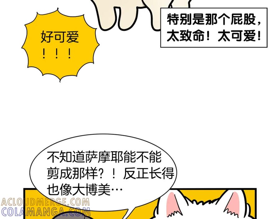 《我的狗子叫棉花》第39话 剃毛方案 第37页