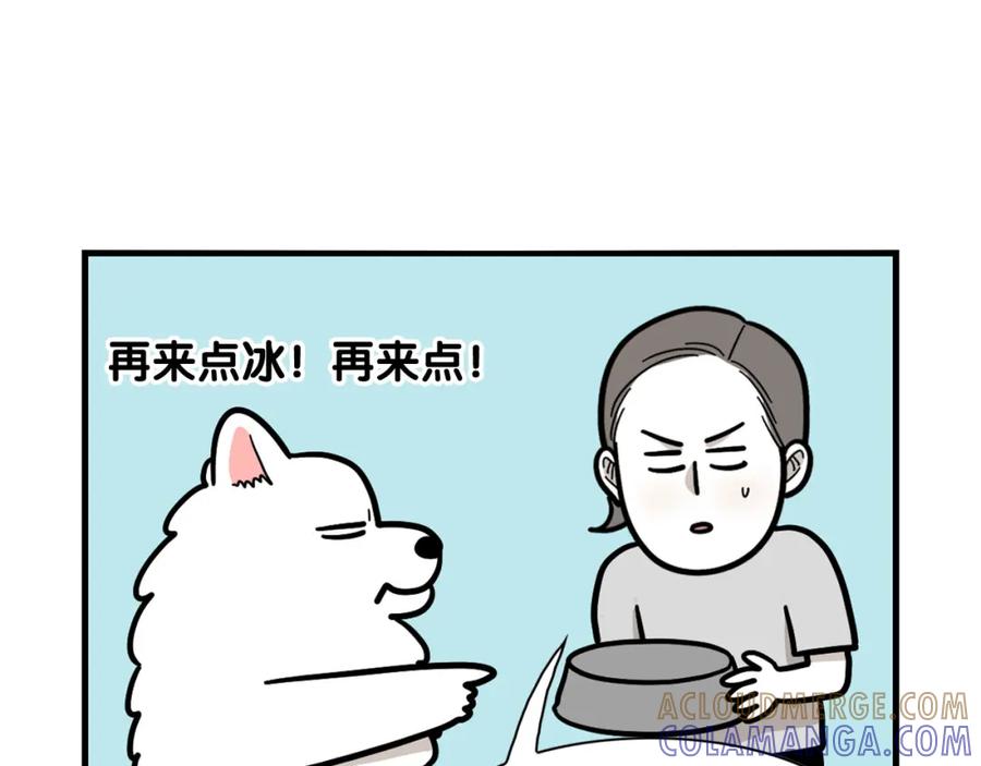 《我的狗子叫棉花》第39话 剃毛方案 第13页