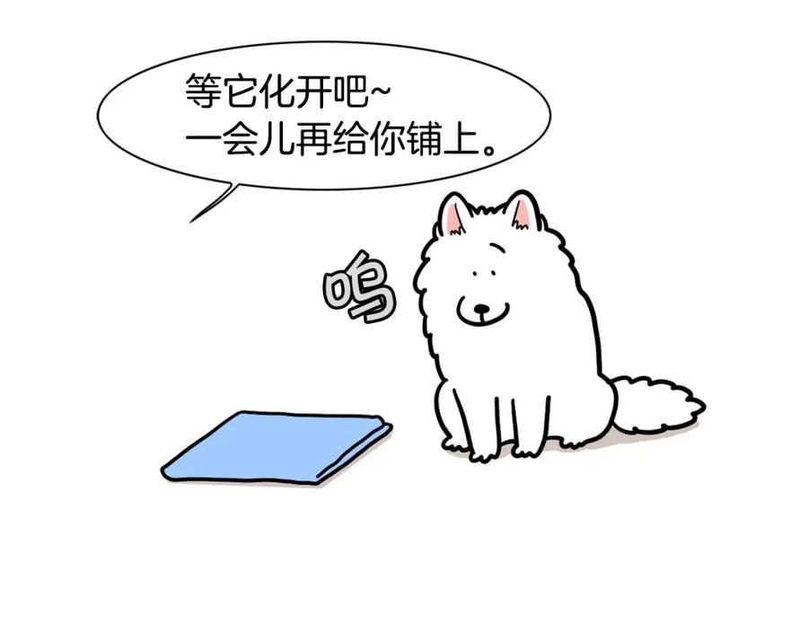 《我的狗子叫棉花》第39话 剃毛方案 第75页