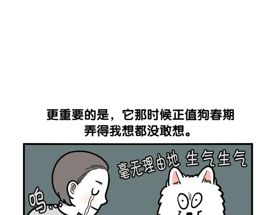 《我的狗子叫棉花》第39话 剃毛方案 第41页