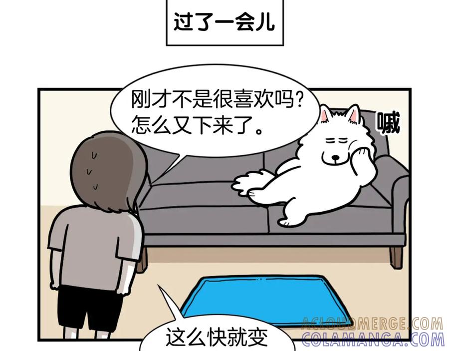 《我的狗子叫棉花》第39话 剃毛方案 第67页