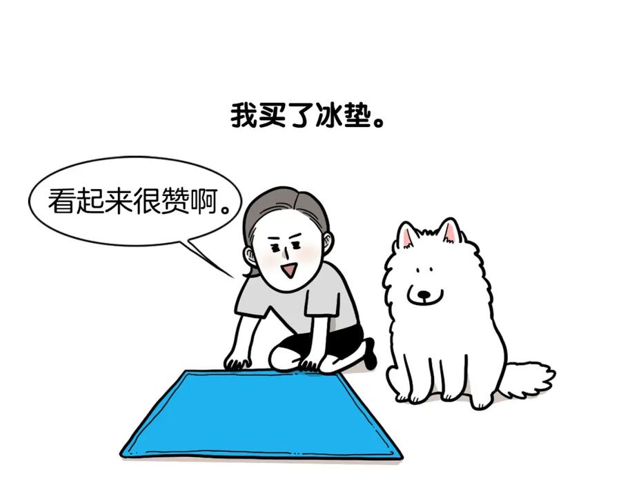 《我的狗子叫棉花》第39话 剃毛方案 第54页