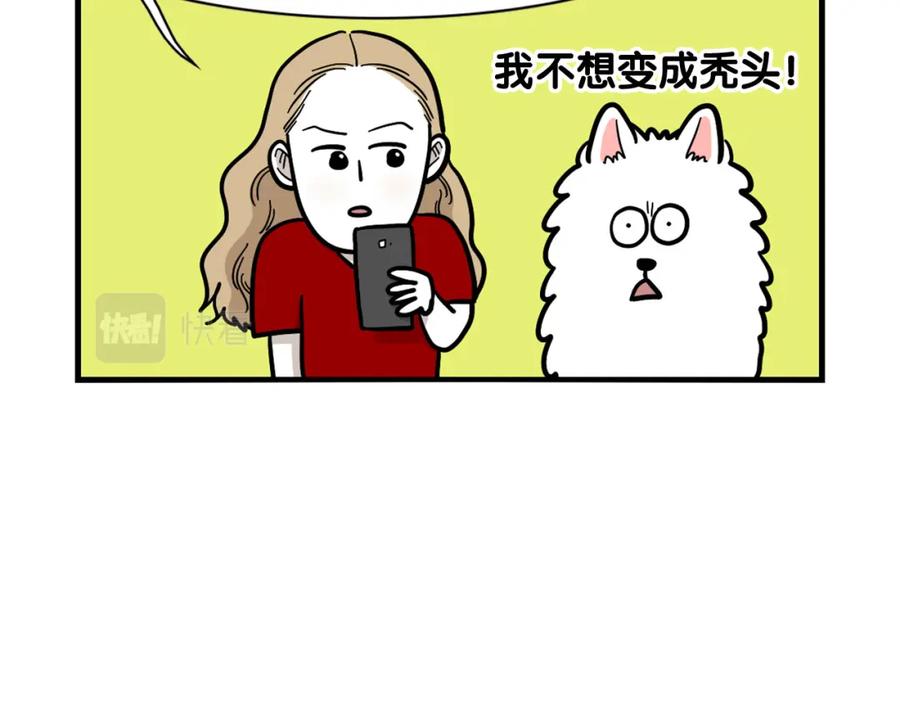《我的狗子叫棉花》第39话 剃毛方案 第23页