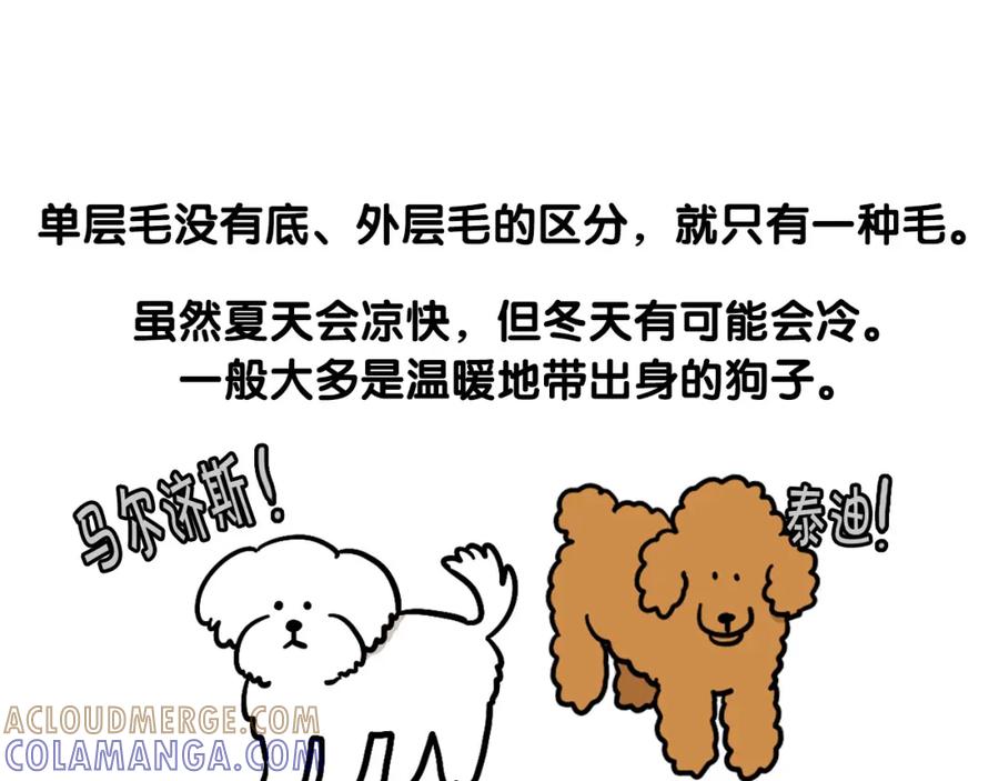 《我的狗子叫棉花》第39话 剃毛方案 第25页