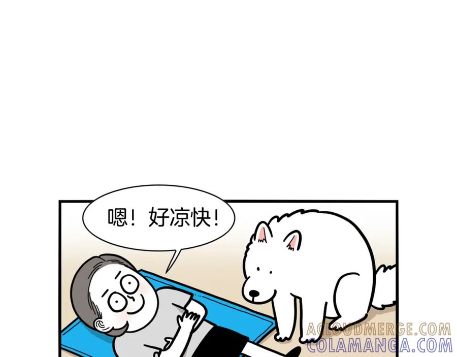 《我的狗子叫棉花》第39话 剃毛方案 第55页