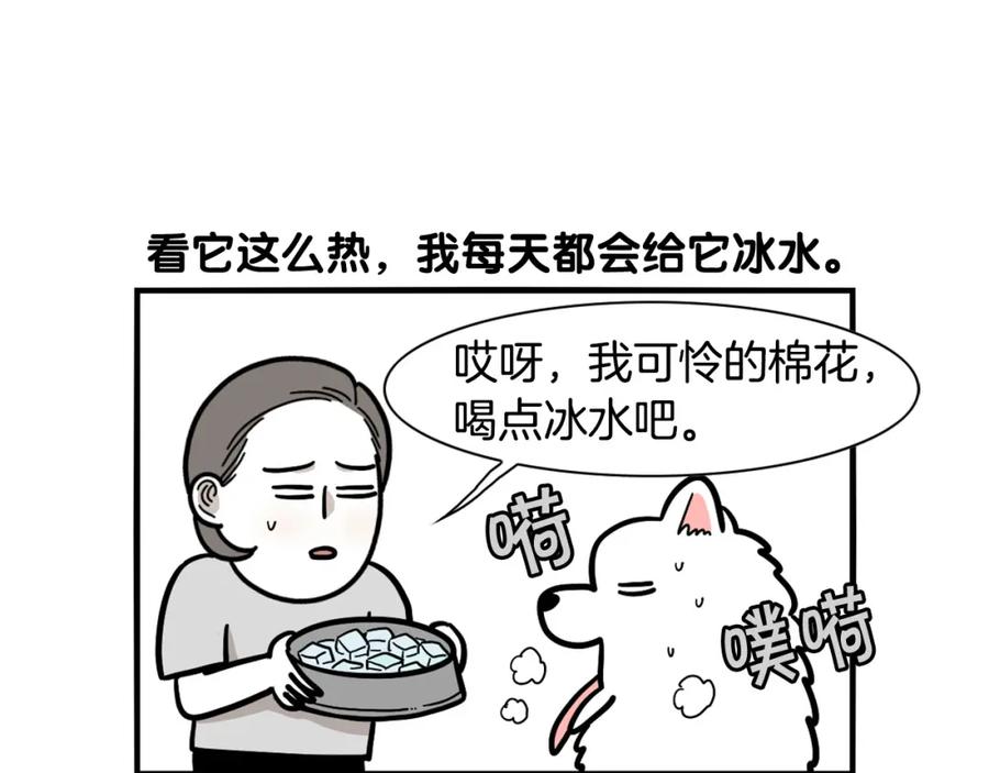 《我的狗子叫棉花》第39话 剃毛方案 第9页