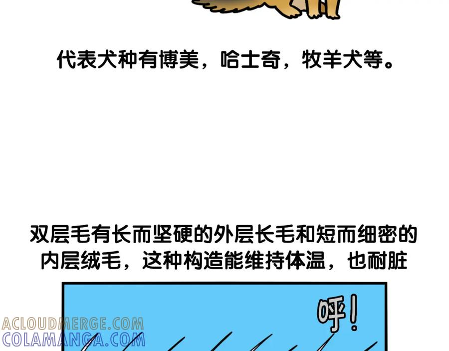 《我的狗子叫棉花》第39话 剃毛方案 第28页