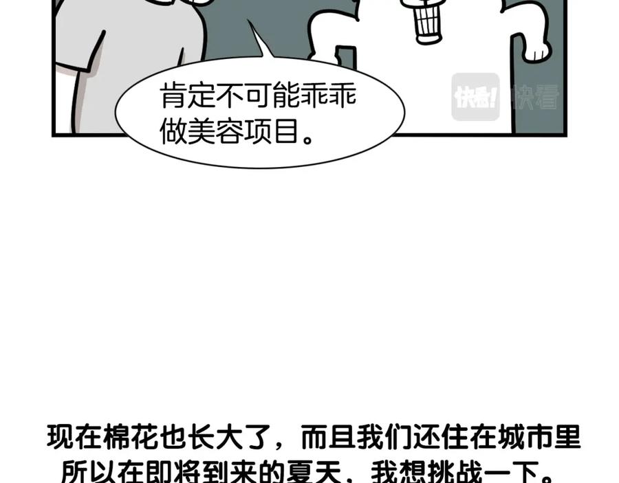 《我的狗子叫棉花》第39话 剃毛方案 第42页