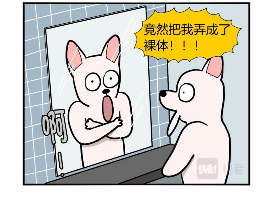 《我的狗子叫棉花》第39话 剃毛方案 第32页