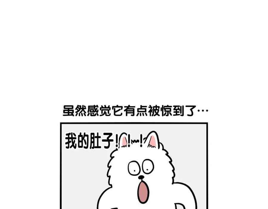 《我的狗子叫棉花》第39话 剃毛方案 第47页