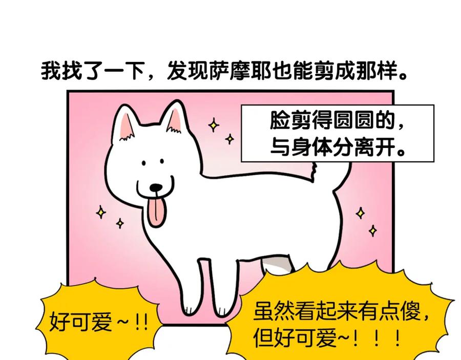 《我的狗子叫棉花》第39话 剃毛方案 第39页