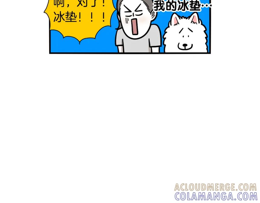 《我的狗子叫棉花》第39话 剃毛方案 第70页