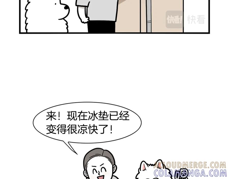 《我的狗子叫棉花》第39话 剃毛方案 第61页