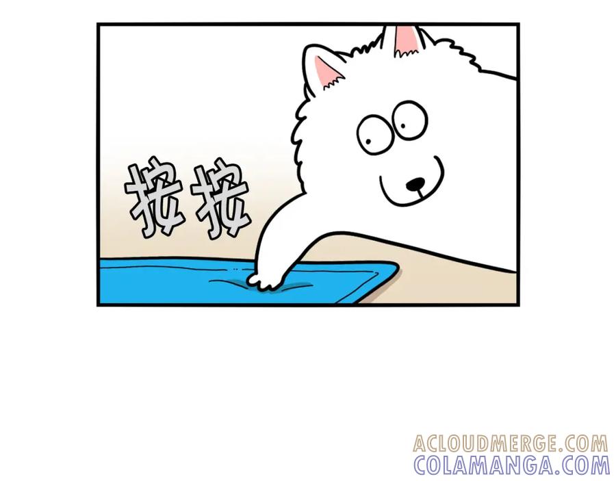 《我的狗子叫棉花》第39话 剃毛方案 第58页