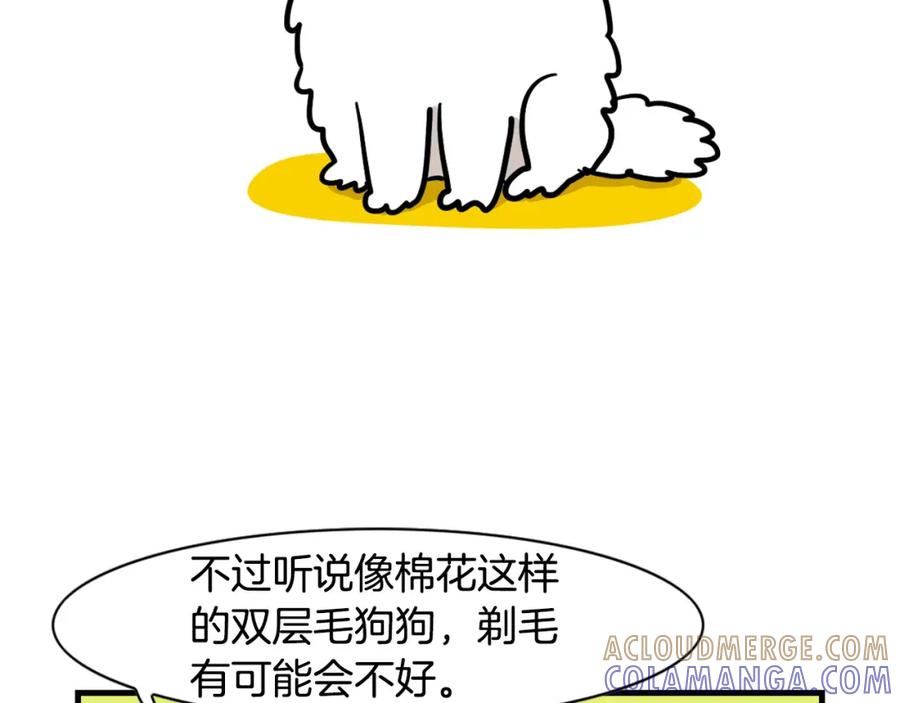 《我的狗子叫棉花》第39话 剃毛方案 第22页