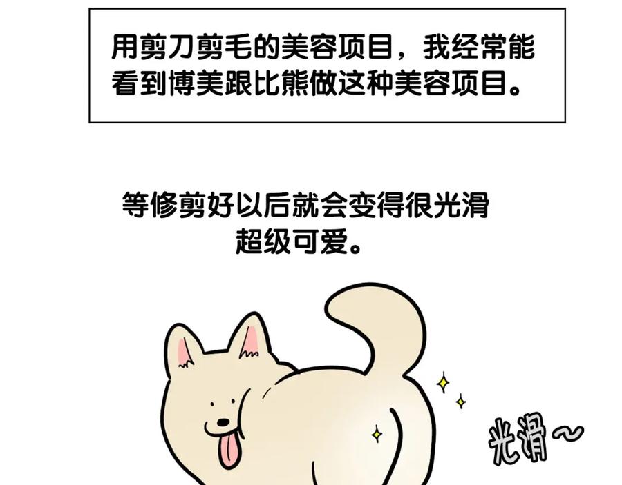 《我的狗子叫棉花》第39话 剃毛方案 第36页