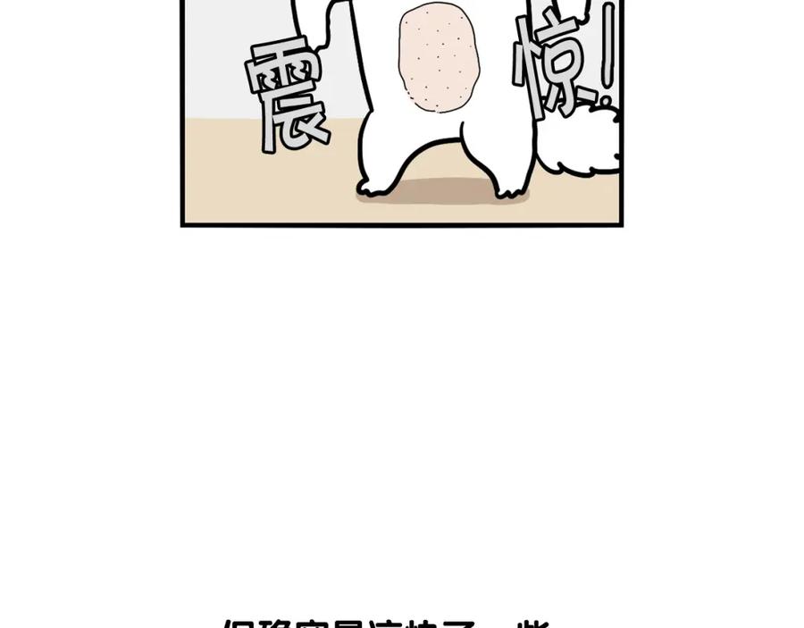 《我的狗子叫棉花》第39话 剃毛方案 第48页