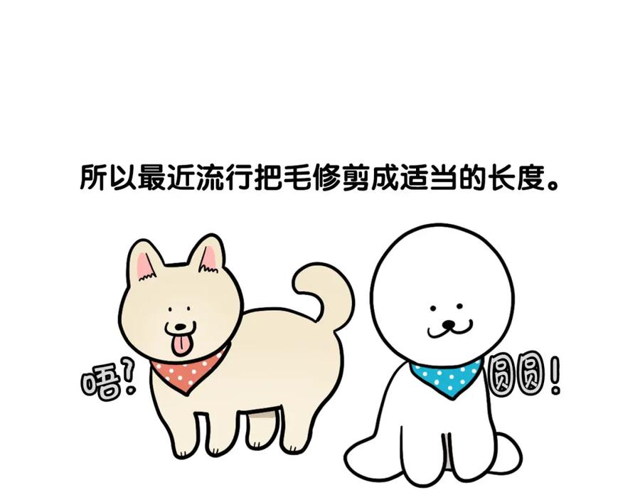 《我的狗子叫棉花》第39话 剃毛方案 第35页