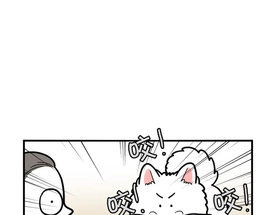 《我的狗子叫棉花》第39话 剃毛方案 第77页