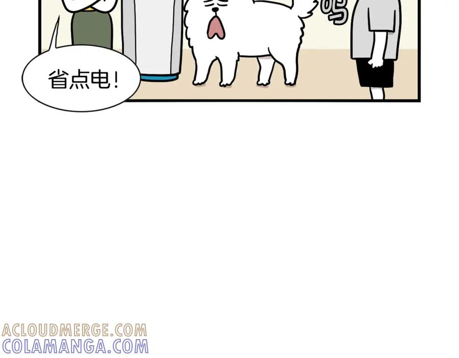 《我的狗子叫棉花》第39话 剃毛方案 第7页