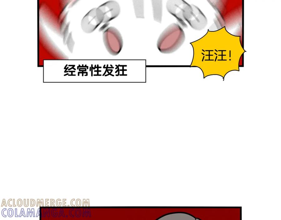 《我的狗子叫棉花》第40话 如何防止狗叫？ 第16页